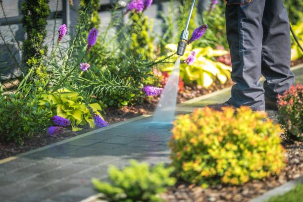 Best Patio and Deck Pressure Washing  in Auburn, CA