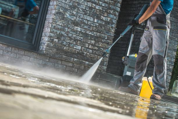 Animal Enclosure Cleaning in Auburn, CA