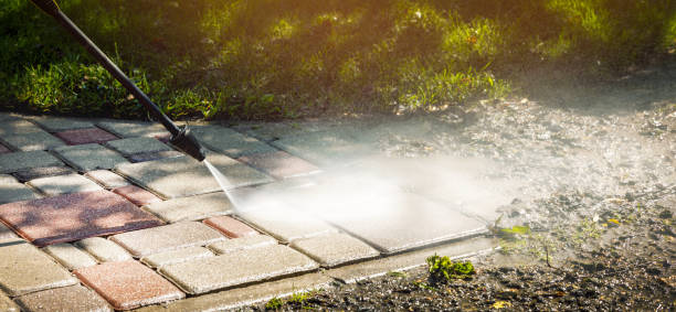 Best Soft Washing  in Auburn, CA